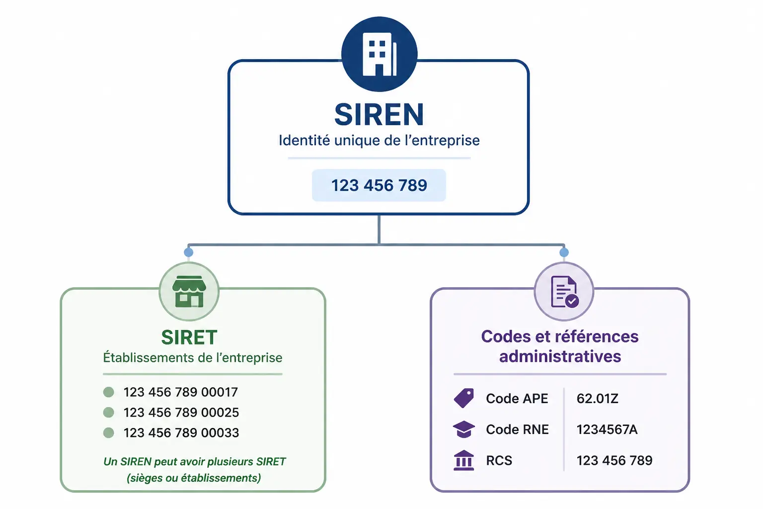 SIREN, SIRET, code APE, RNE, RCS : les repères à ne pas mélanger